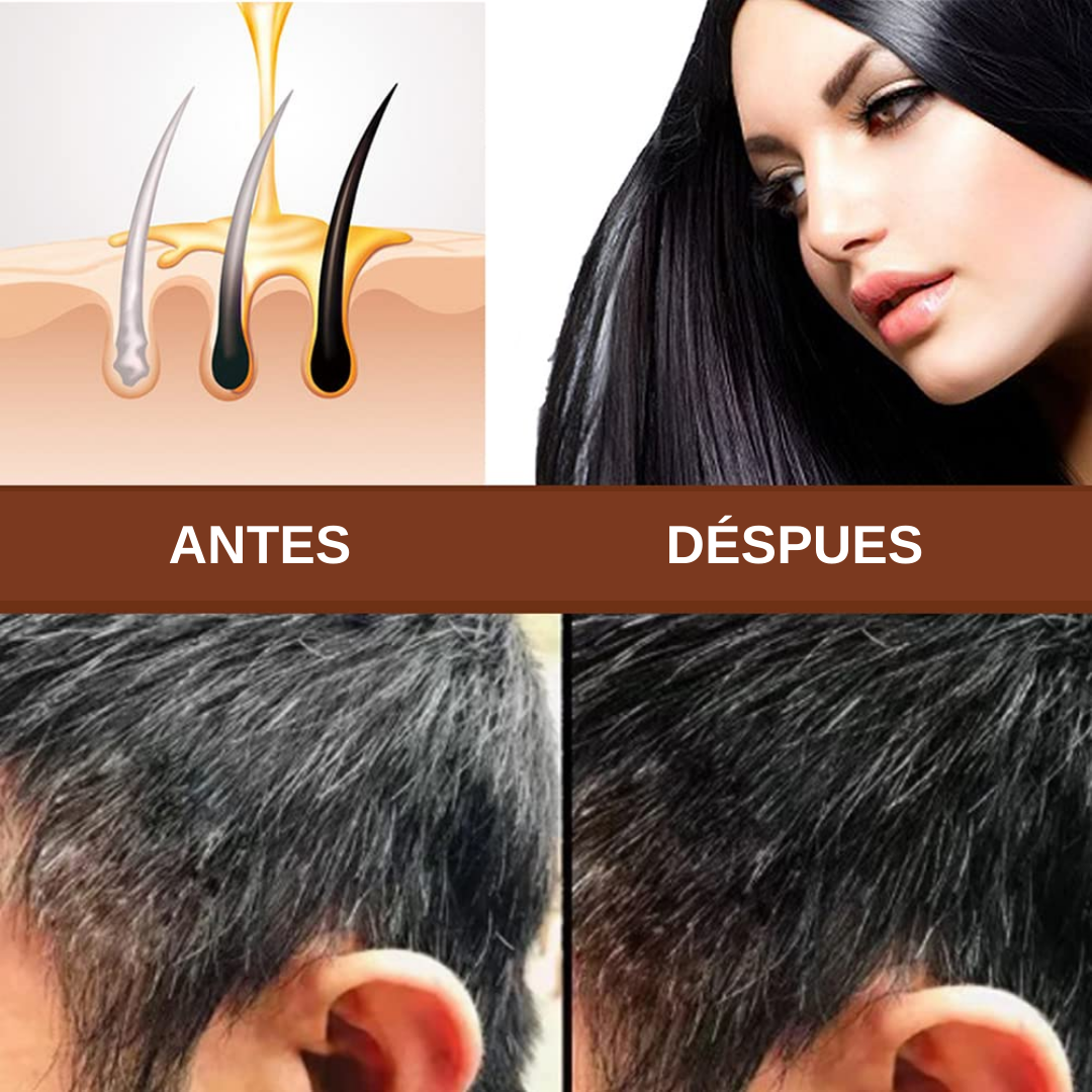 Shampoo en Barra Polygonum para Oscurecer el Cabello